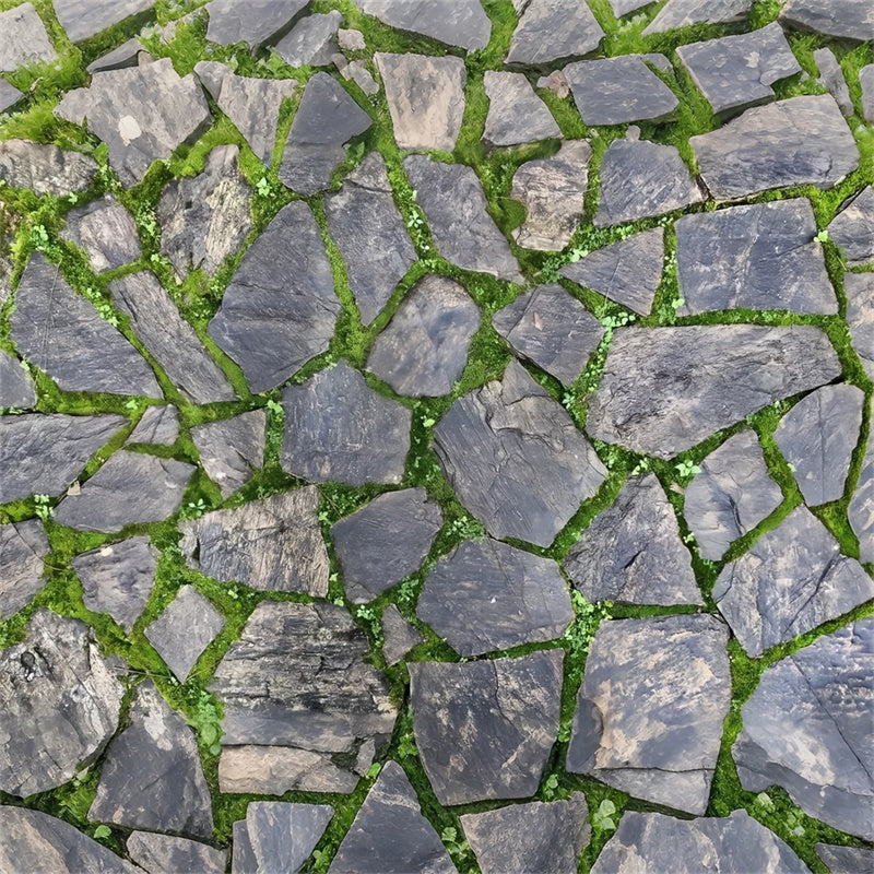 Fotografie Boden Backdrop Dunkel Rustikal Stein Boden Backdrop LXX2-237