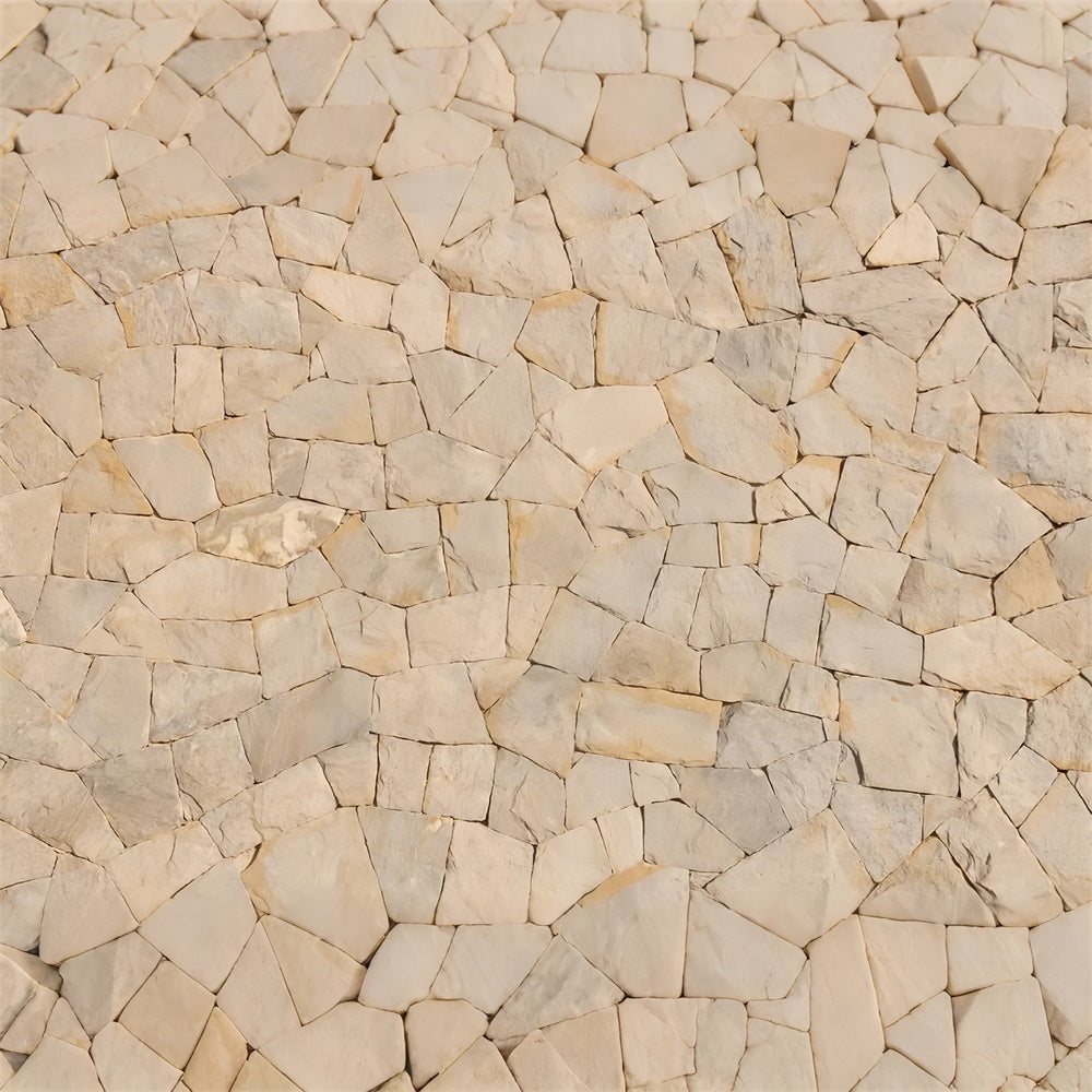 Floor Backdrops für Fotografie Warm Stone Slab Floor Backdrop LXX2-256