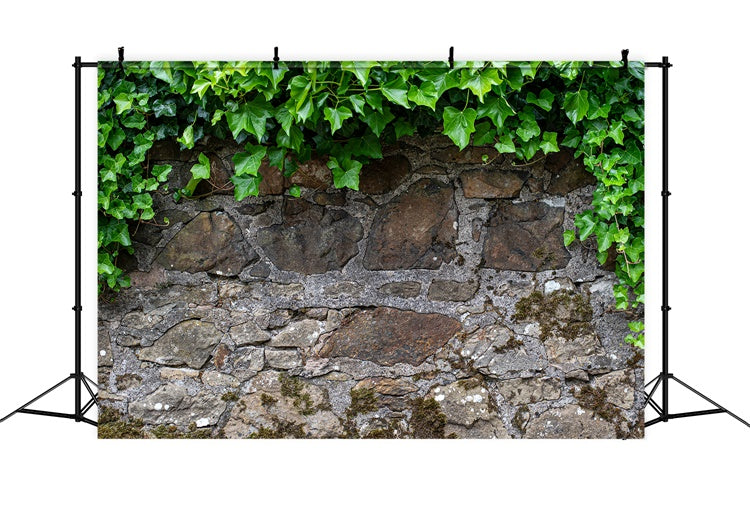 Frühling Fotokulisse Rustikale Steinmauer Efeu Kulisse LXX2-70