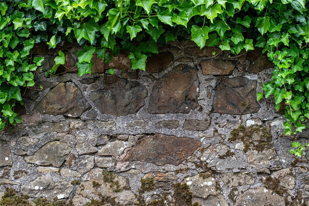 Frühling Fotokulisse Rustikale Steinmauer Efeu Kulisse LXX2-70