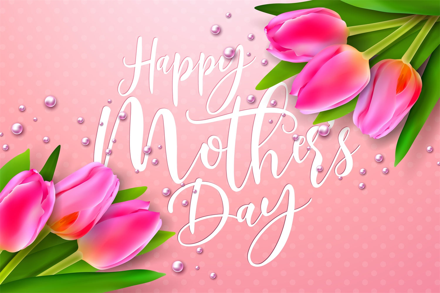 Muttertagskulisse Ideen Elegant Blühende Tulpe Individueller Hintergrund LXX3-74