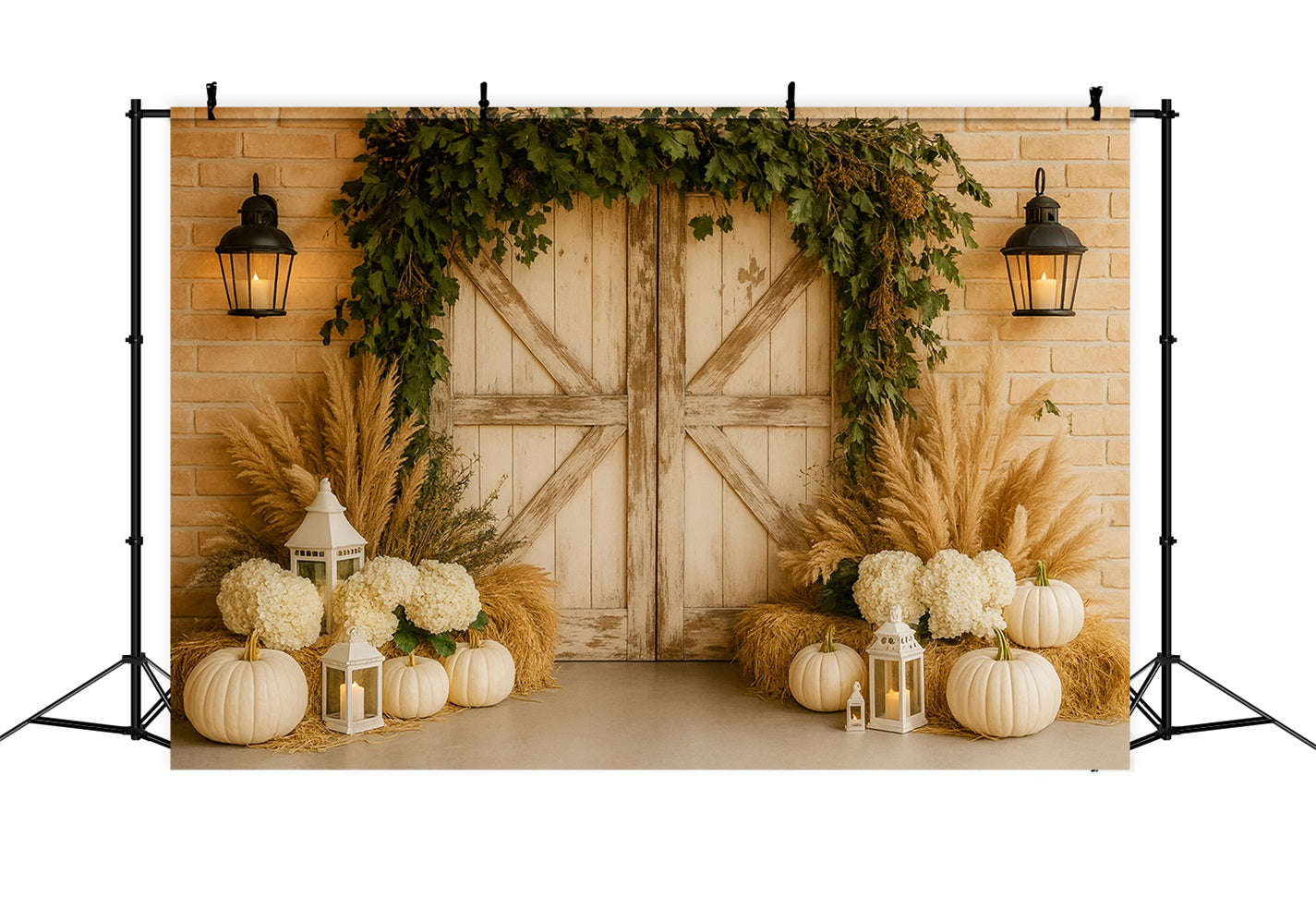 Kürbis-Hintergrund Neutrale Pampas Eleganter Eingang Thanksgiving-Fotohintergründe LXX510-28