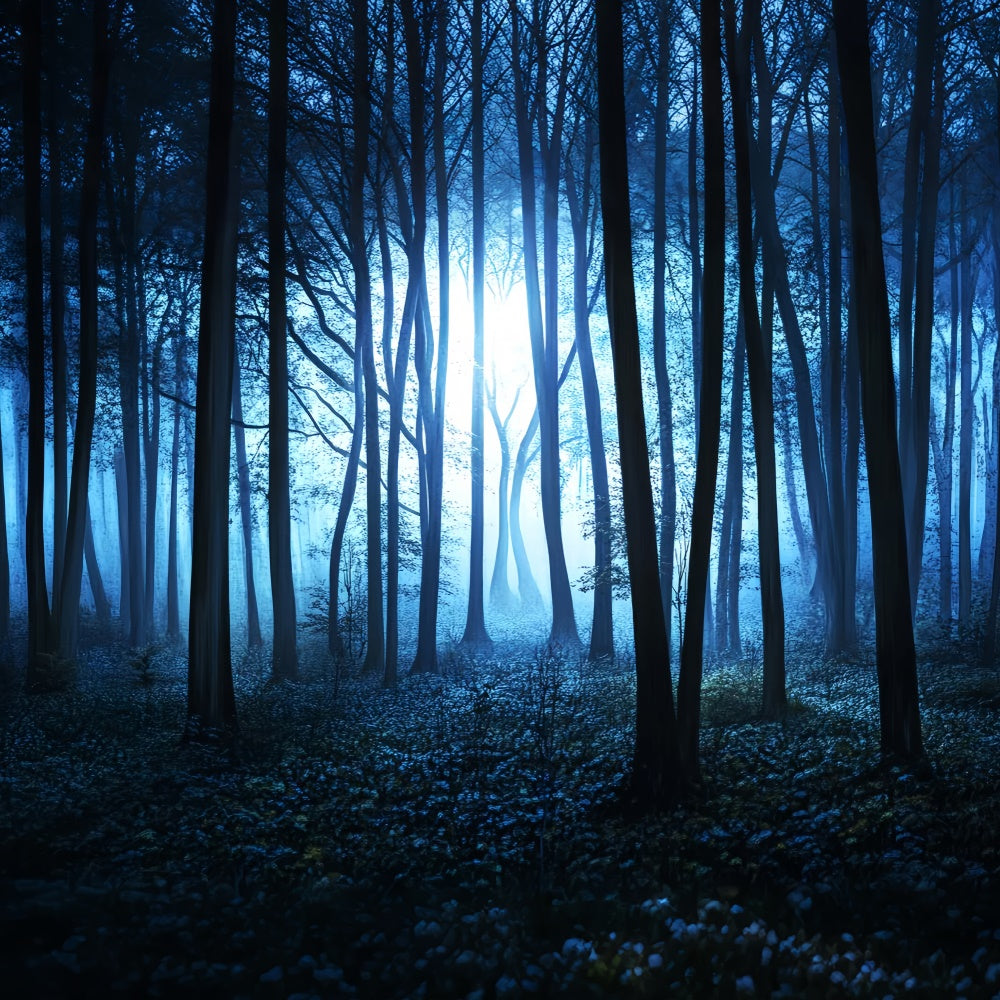 Dark Forest Hintergrundkulisse Midnight Mist Grove Hintergrundkulisse LXX57-115