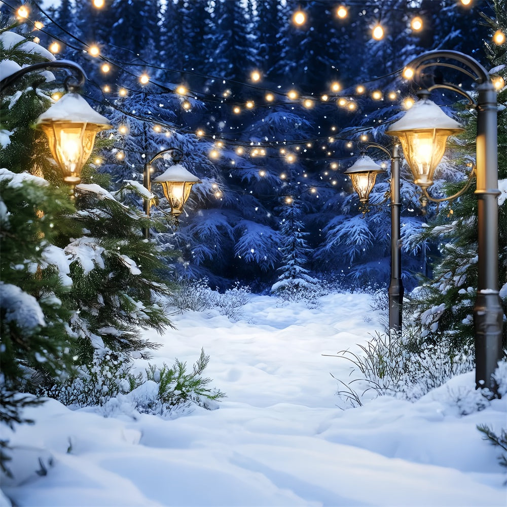 Schneewald-Hintergrundkulisse Gemütliche beleuchtete Kiefern-Hintergrundkulisse LXX57-123