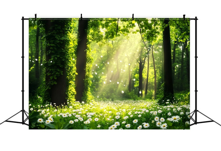 Wald Fotokulisse Gänseblümchen Sonnenstrahl Wiese Kulisse LXX57-132