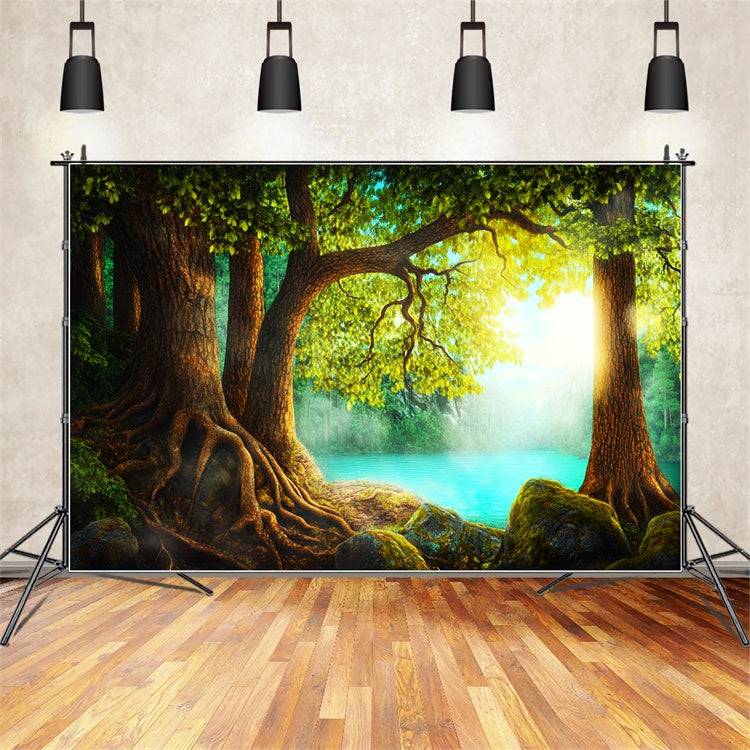 Backdrops Wald Alter Baum Ruhige Gewässer Backdrop LXX57-136