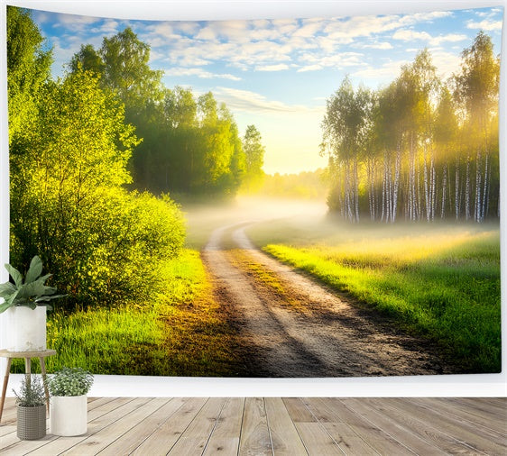 Wald Hintergrund Fotografie Morgenglühen Pfad Hintergrund LXX57-145