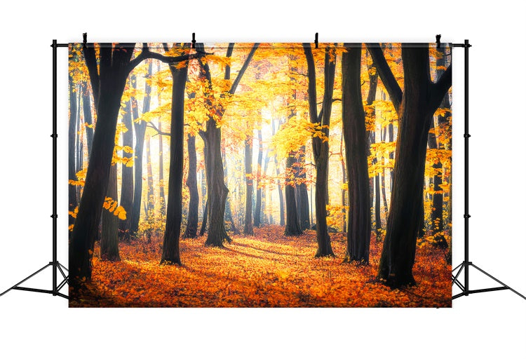 Herbst Wald Fotohintergrund Rustic Leaves Woodland Backdrop LXX57-149