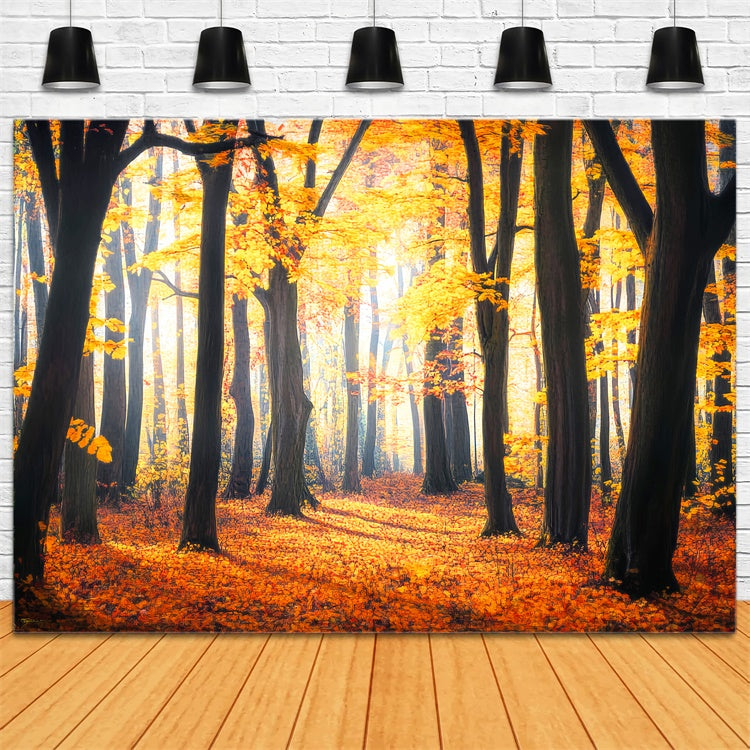 Herbst Wald Fotohintergrund Rustic Leaves Woodland Backdrop LXX57-149