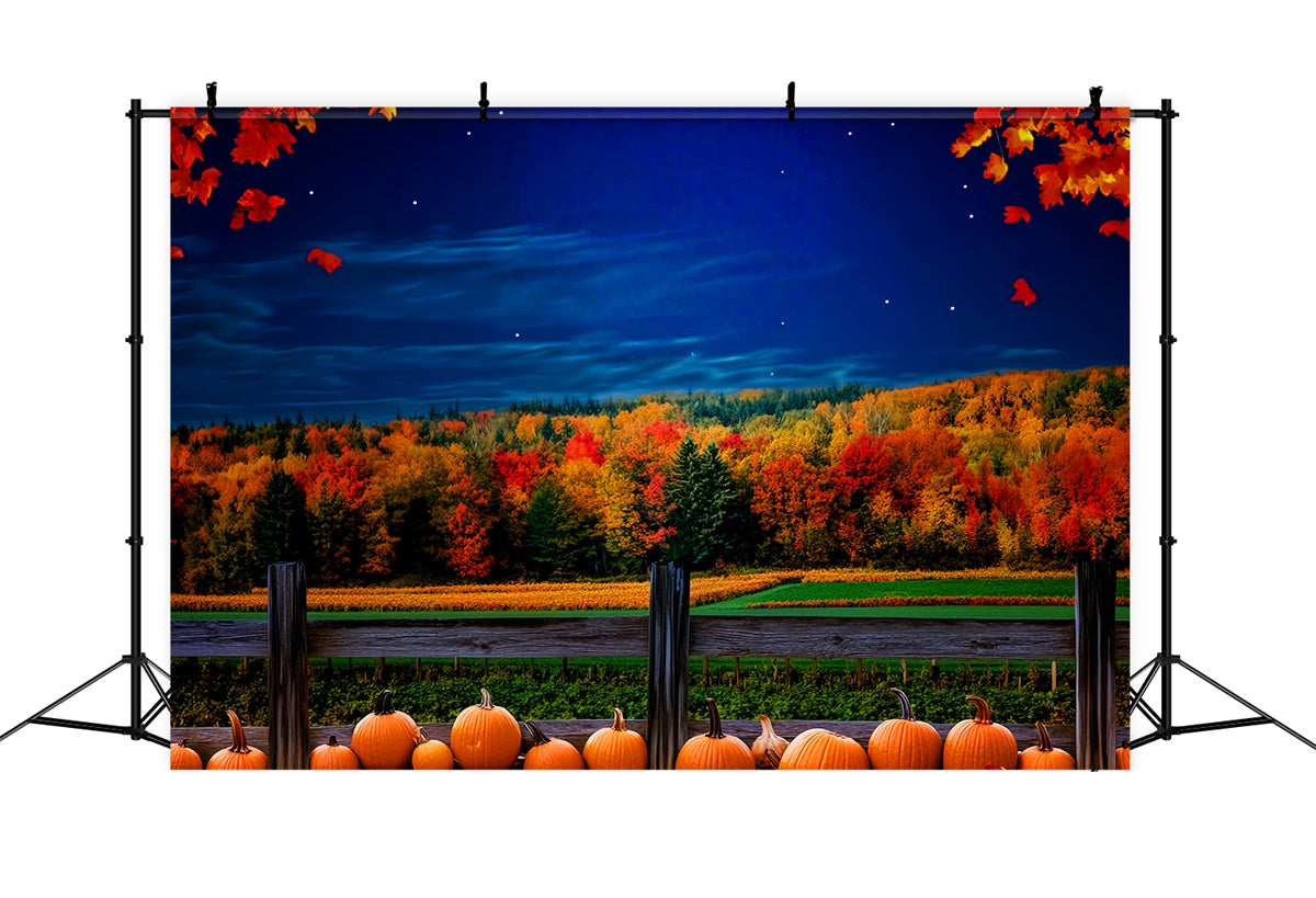 Herbstwald Fotohintergrund Sternenhof Feld Hintergrundkulisse LXX57-163