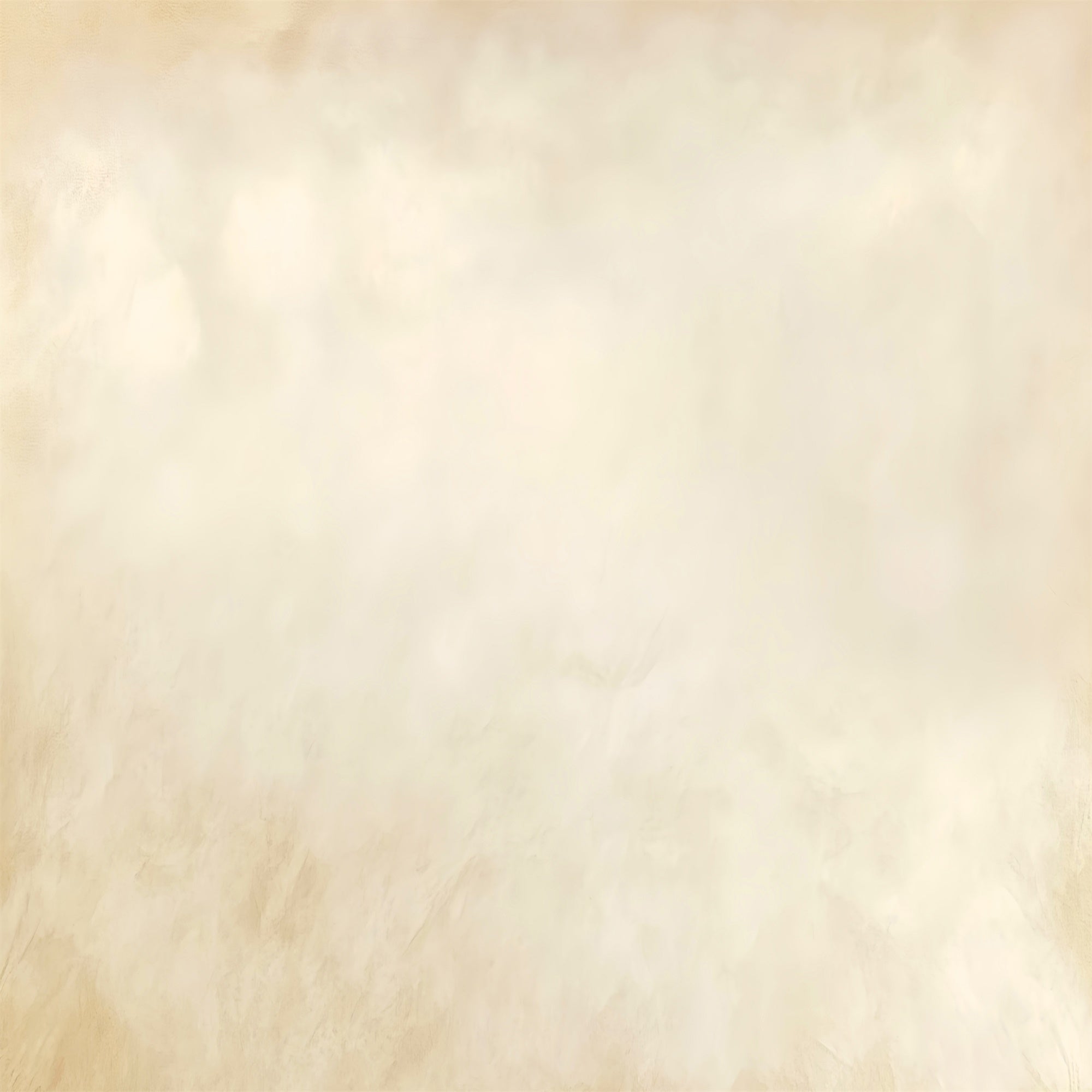 Schulportrait Hintergrundkulisse Soft Fog Cream Hintergrundkulisse LXX57-251