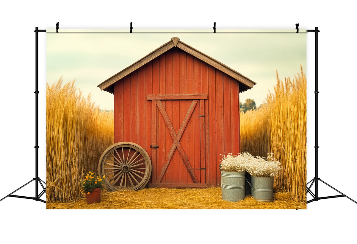 Scheune Backdrops Goldenes Weizenfeld Rustikale Foto Hintergrund LXX57-380