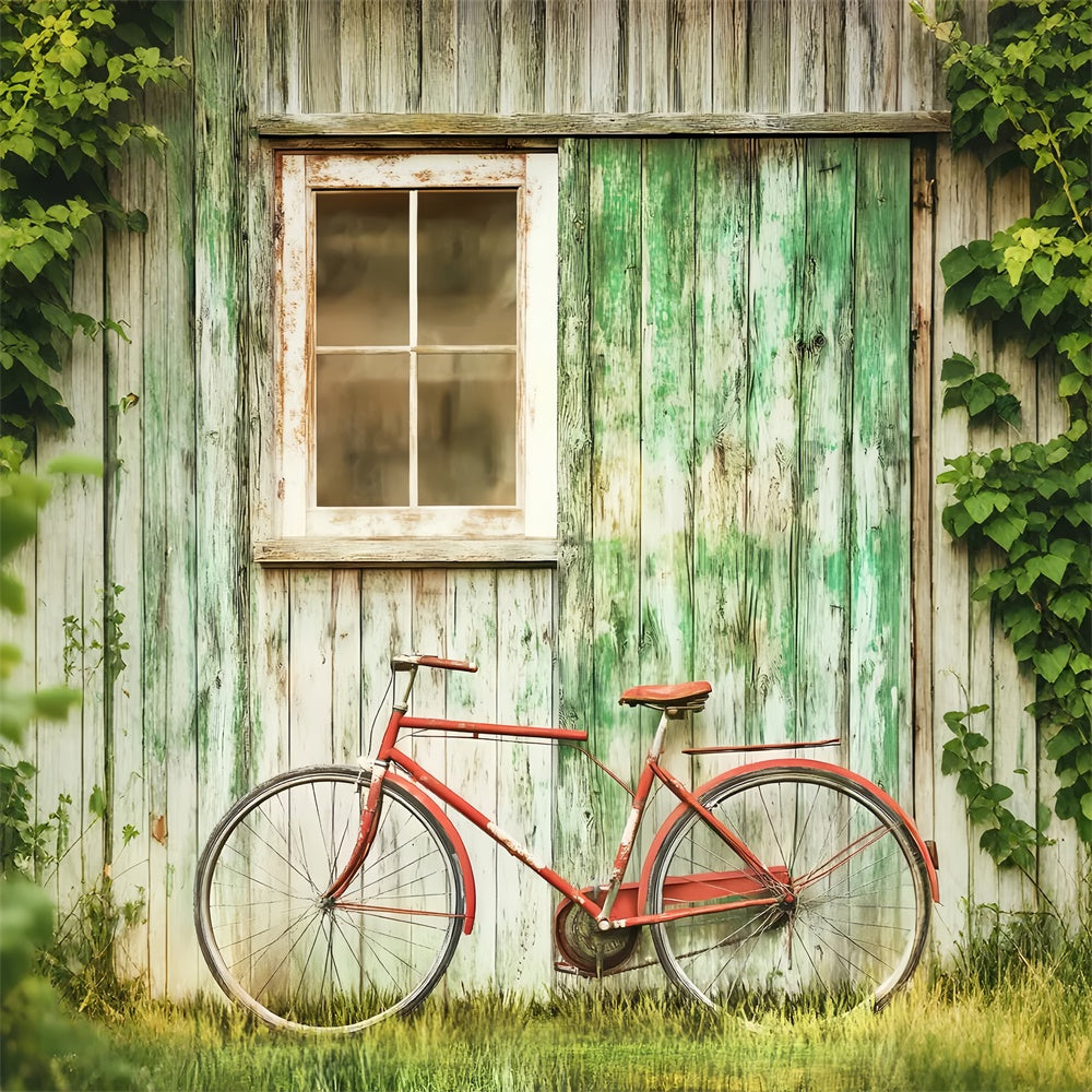 Rustikale Scheunen-Hintergrundkulisse Rustikale Wand-Fahrrad Foto Hintergrund LXX57-396