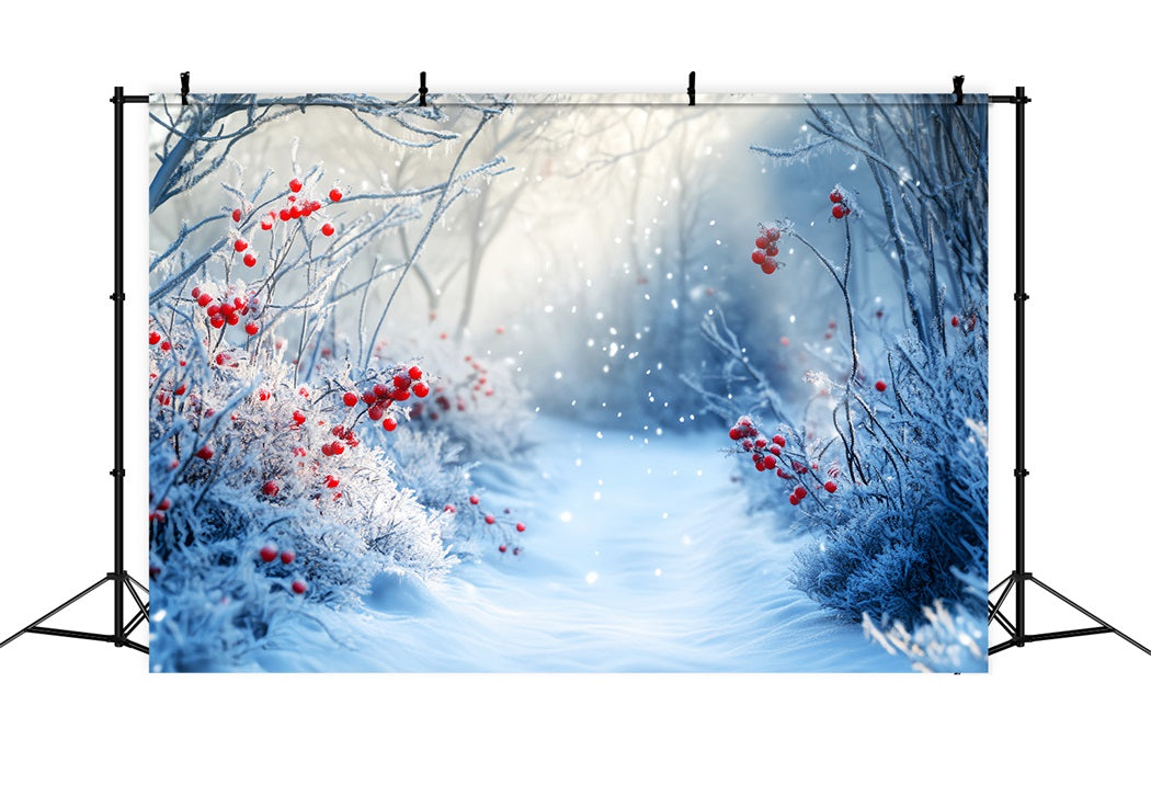 WaldFotohintergrund Gefrosteter Pfad Rote Winterbeeren WinterFotohintergrund LXX58-238