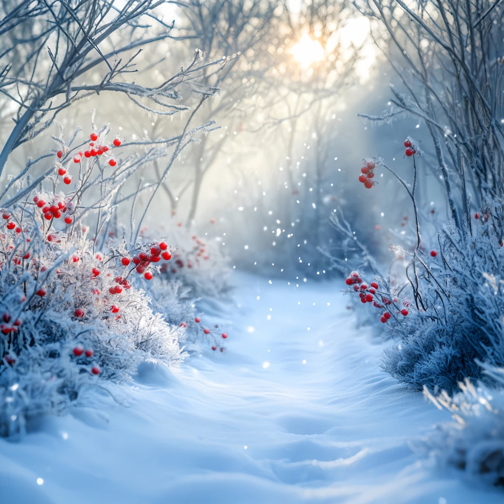 WaldFotohintergrund Gefrosteter Pfad Rote Winterbeeren WinterFotohintergrund LXX58-238