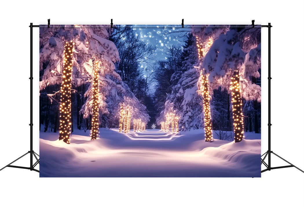 WaldFotohintergrund Golden Lights Snowy Pathway Winter Wonderland Backdrop LXX58-241