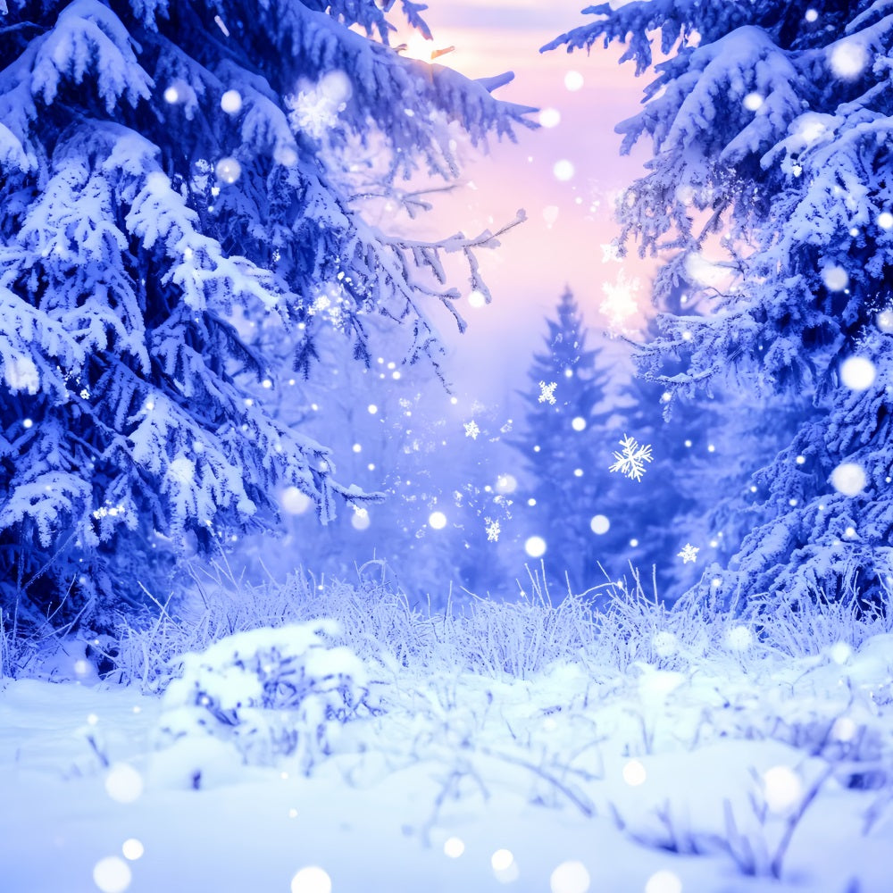 WaldFotohintergrund Blauer Frost Glitzernde Schneeflocken Winter-Fotohintergrund LXX58-242