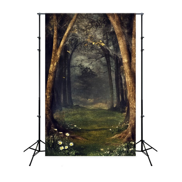 Gruseliger Wald mit mystischem Spinnennetz, verzauberter Wald, dunkler Wald-Foto Hintergrund LXX58-270