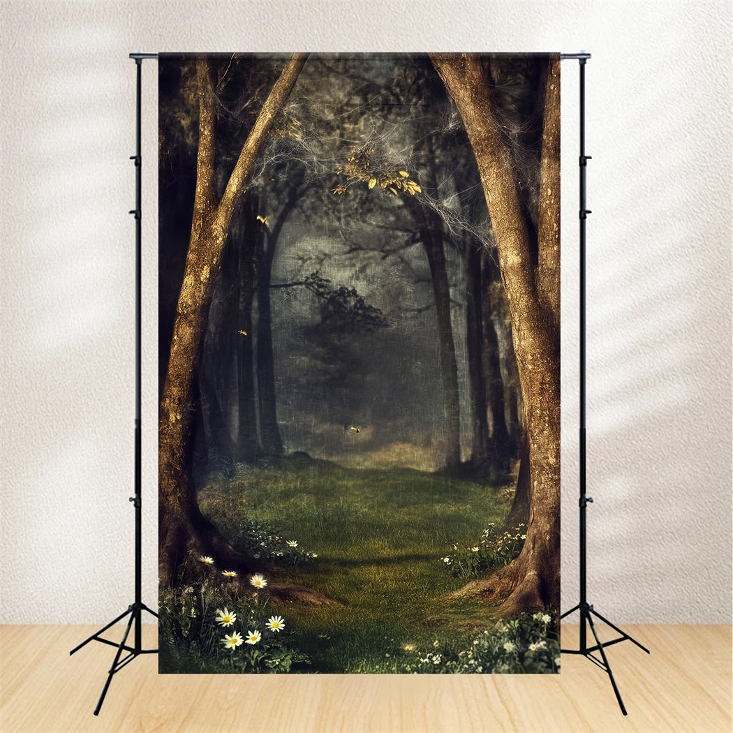 Gruseliger Wald mit mystischem Spinnennetz, verzauberter Wald, dunkler Wald-Foto Hintergrund LXX58-270