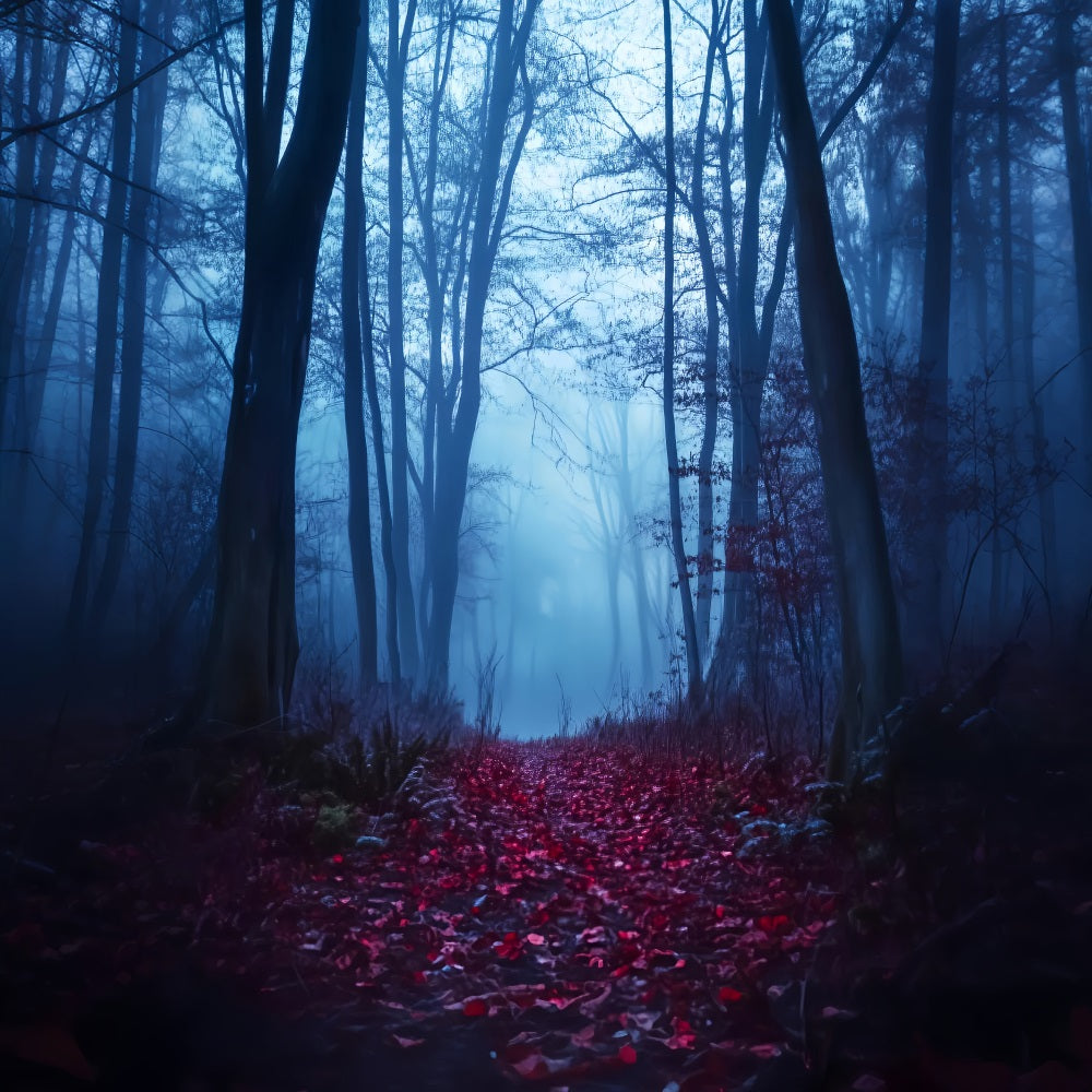 Gruseliger Wald mit purpurrotem Pfad, nebliger Wald, Wald-Foto Hintergrund LXX58-271