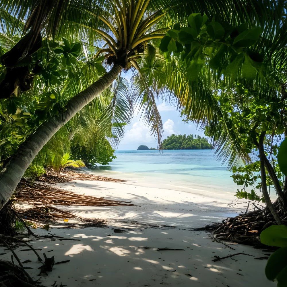 Regenwald Tropische Palmen Insel Küste Wald Foto Hintergrund LXX58-290