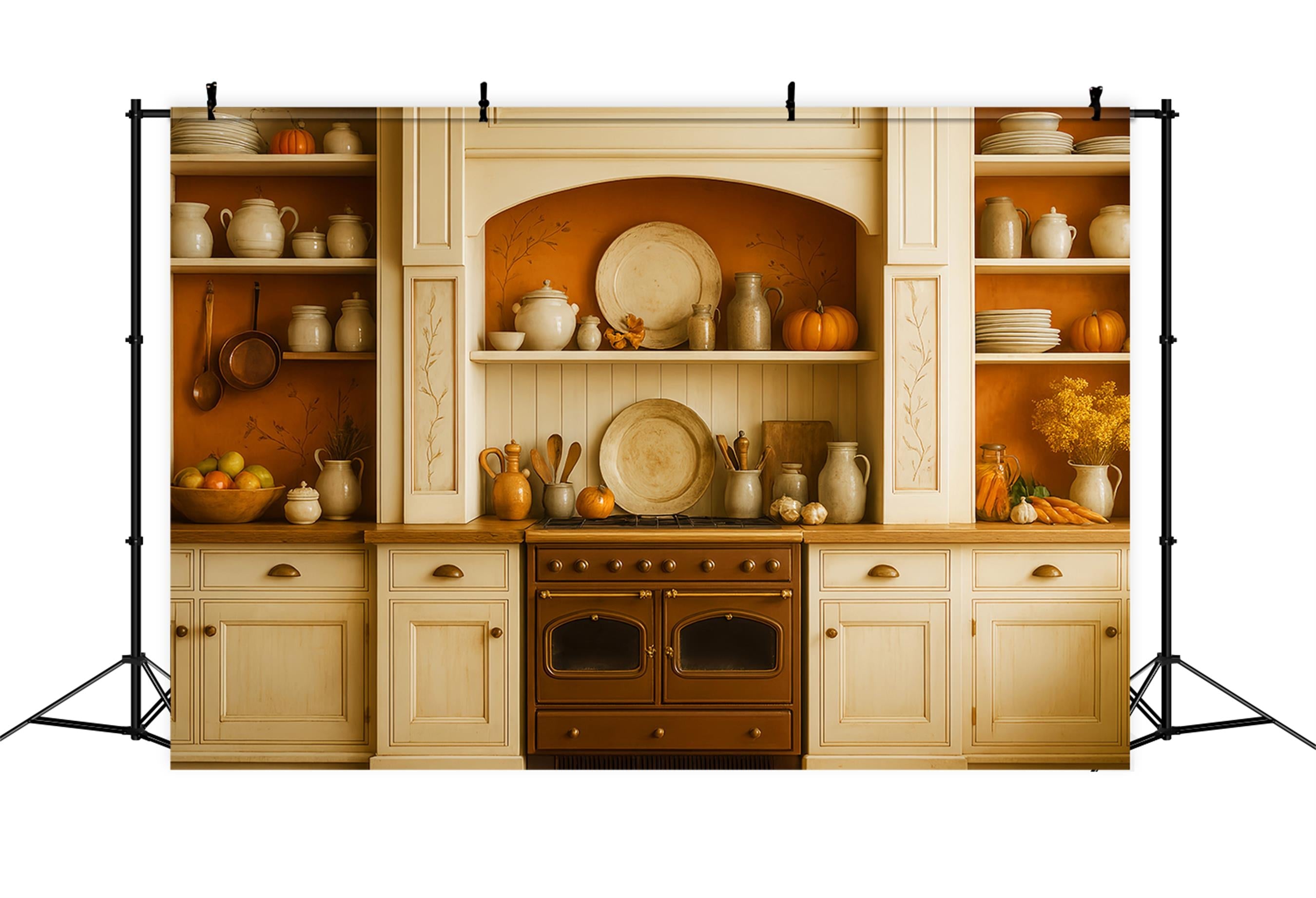 Küchenhintergrund Rustikale Herbsternte-Regale Herbstfoto-Fotohintergrund LXX59-273
