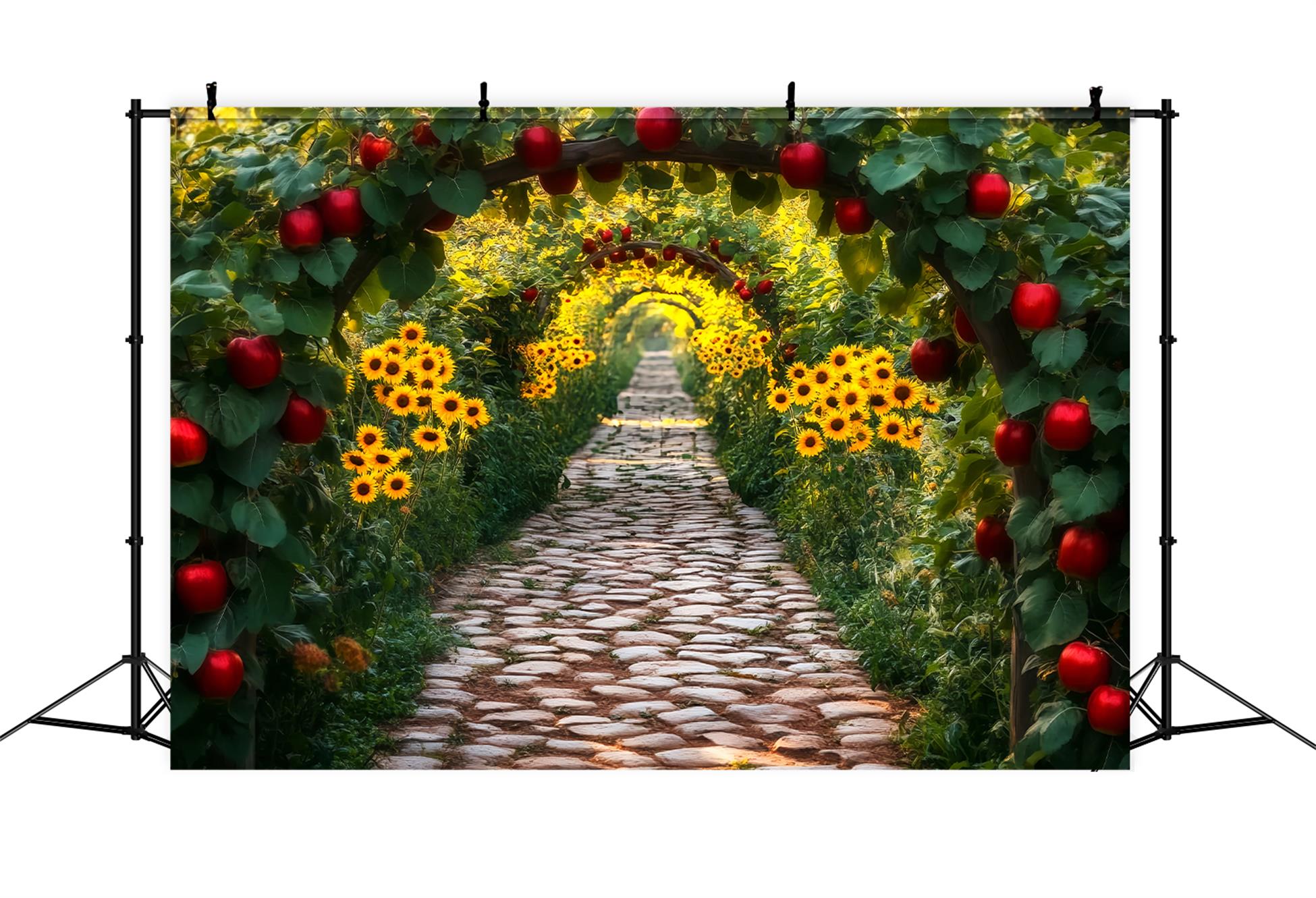 Sonnenblumen-Kulisse Apfelgarten Sonnenblumentunnel Herbst-Fotokulisse LXX59-285