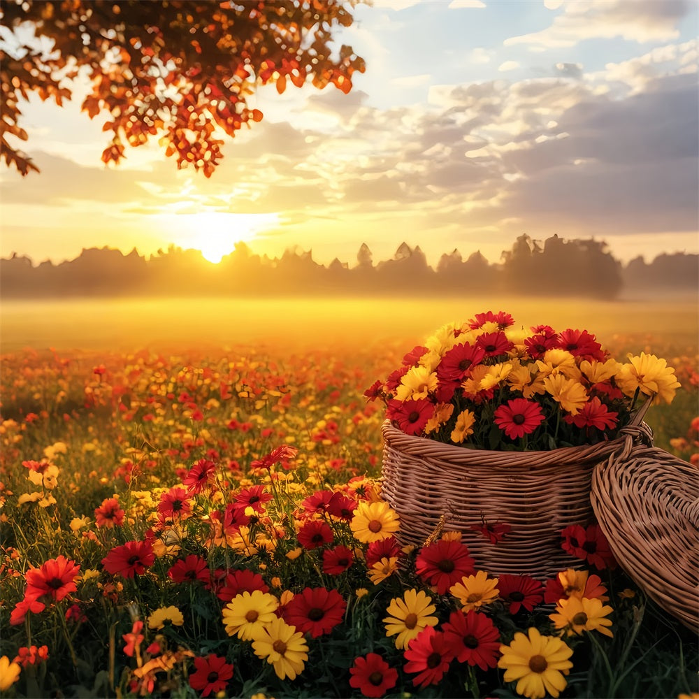 Herbst-Fotohintergrund im Freien Sonnenuntergang über einem Herbstblumenfeld Herbst-Studiohintergründe LXX59-292