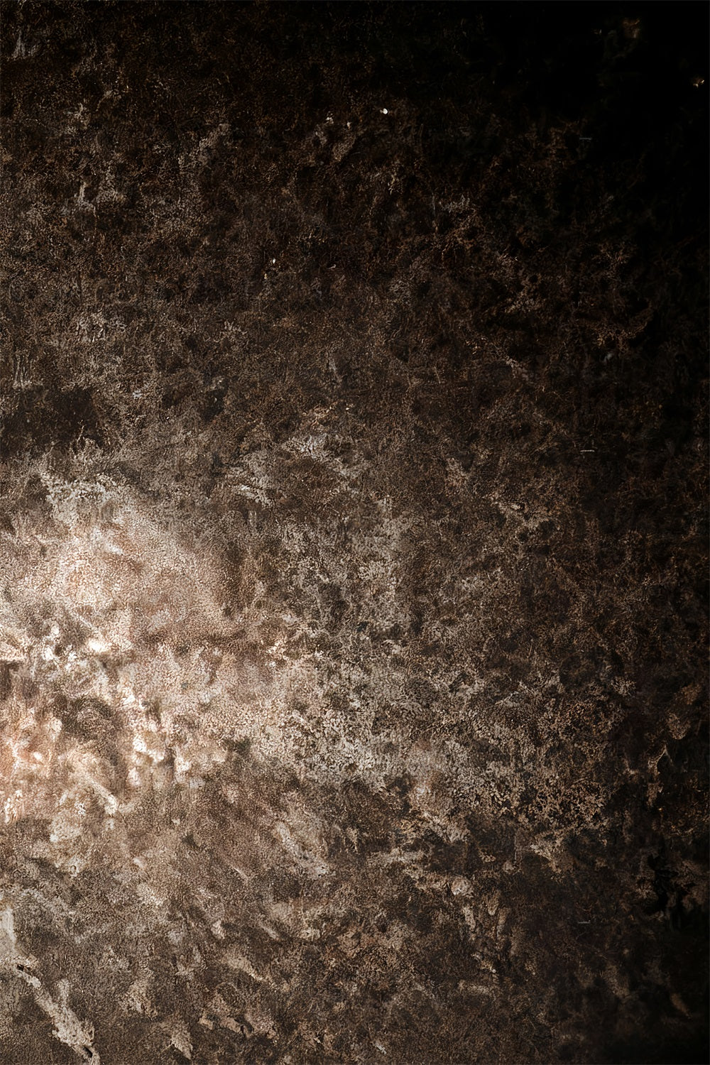 Porträtstudio-Fotohintergrund Dunkler rustikaler metallischer Textur-Porträt-Fotohintergrund LXX59-452