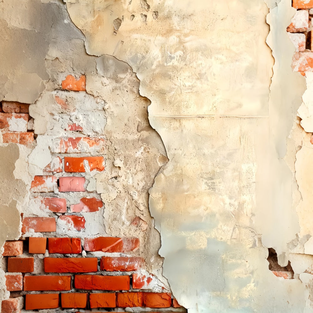 Betonwand-Fotohintergrund Freiliegende Ziegelputzstruktur Porträt-Studiohintergründe LXX59-460