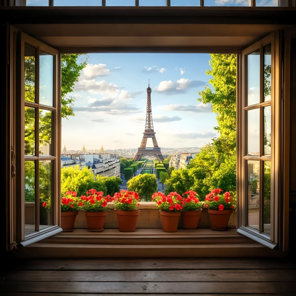 Paris-Hintergründe Fensterblick Rote Blumen Eiffelturm Paris-Fotohintergrundideen LXX59-71