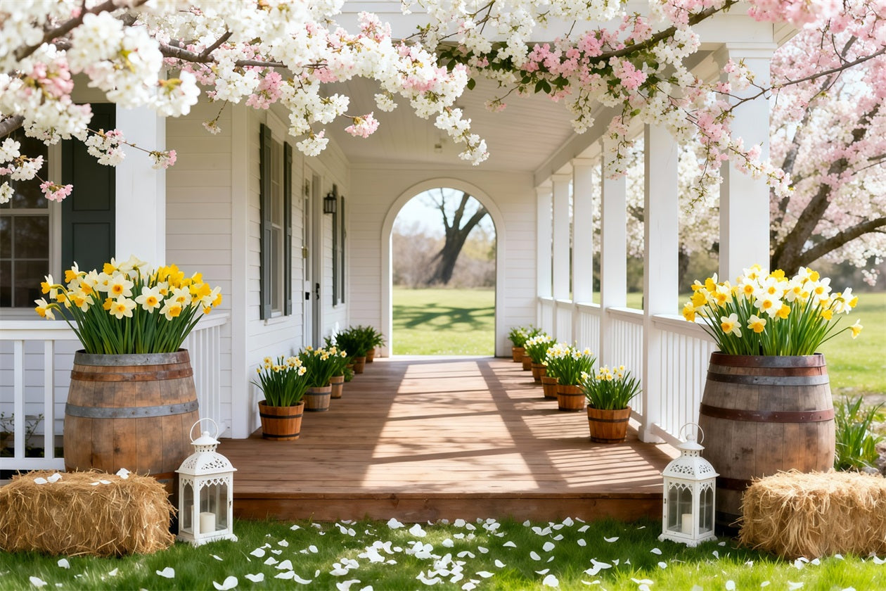Narzissen-Hintergrund Kirschblüten-Veranda mit Blumenhintergrund für Fotos LXX61-203