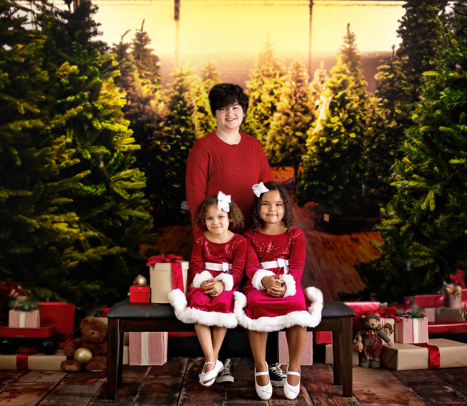 Weihnachtsbäume Bauernhof Hintergrund für Fotografie M10-13
