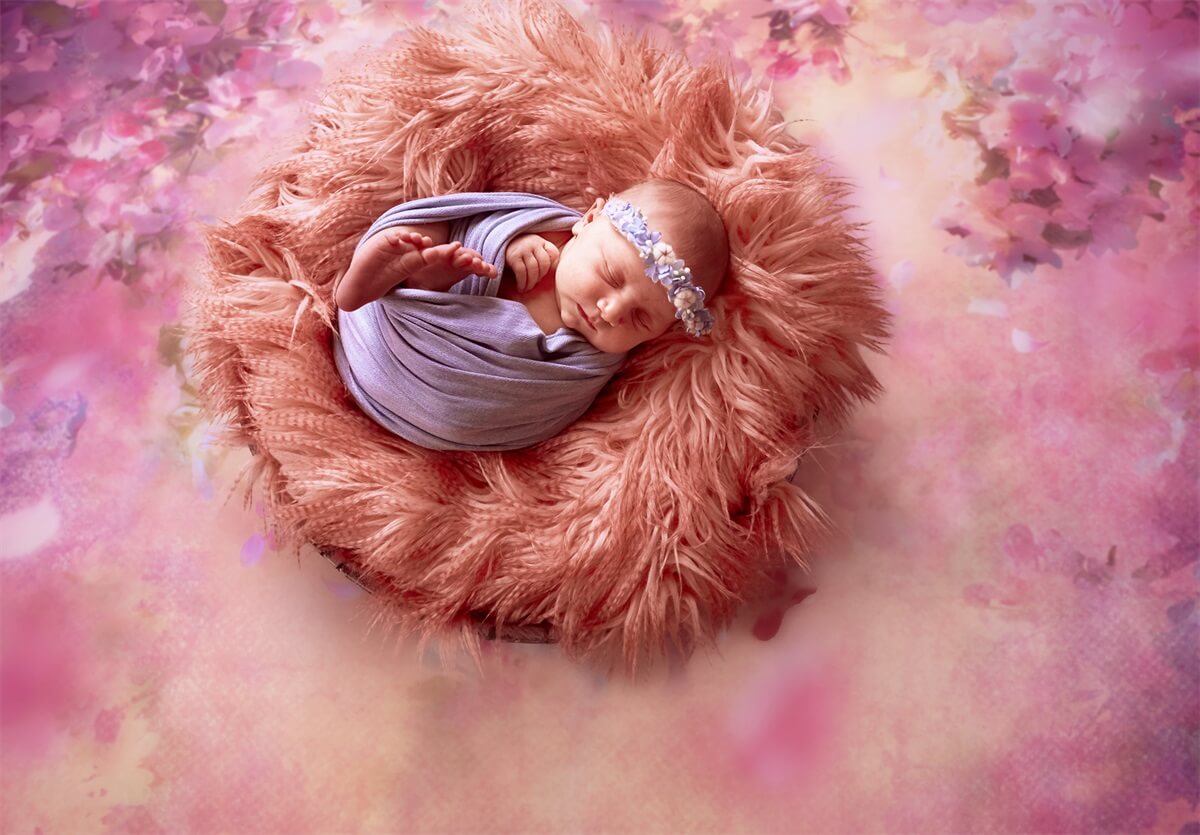 Ölgemälde Dreamy Pink Flower Tree Petals Falling Backdrop M12-33