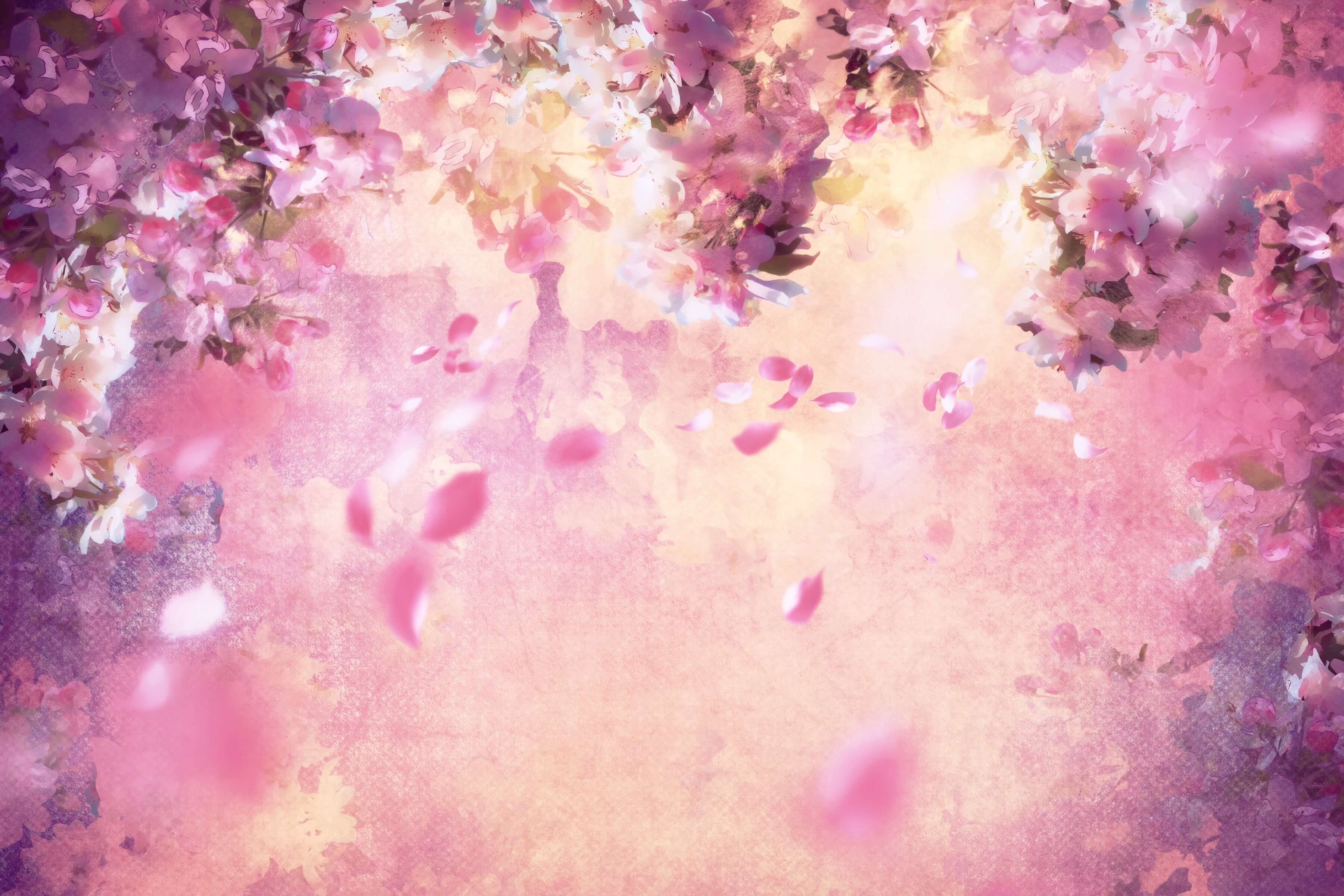 Ölgemälde Dreamy Pink Flower Tree Petals Falling Backdrop M12-33
