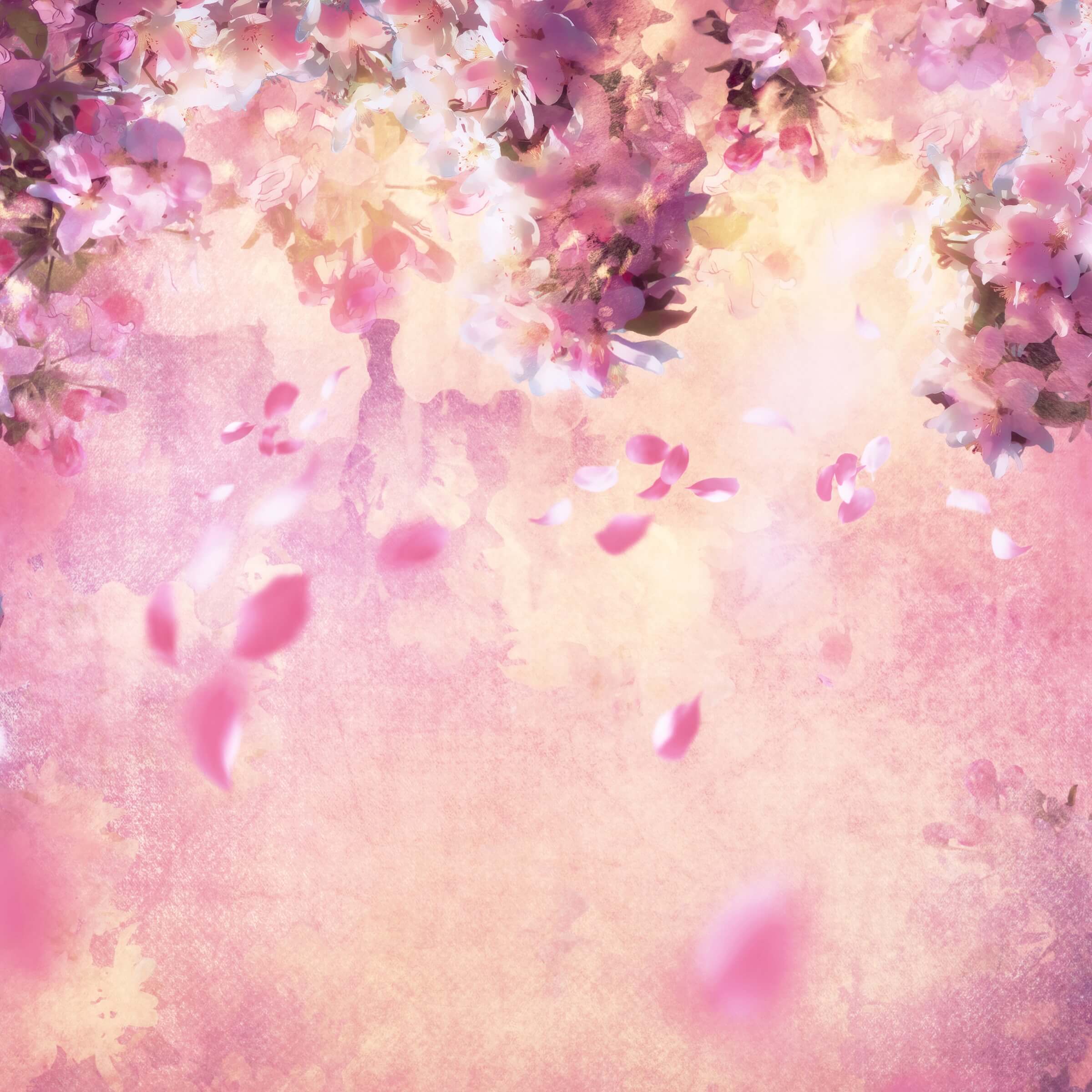 Ölgemälde Dreamy Pink Flower Tree Petals Falling Backdrop M12-33