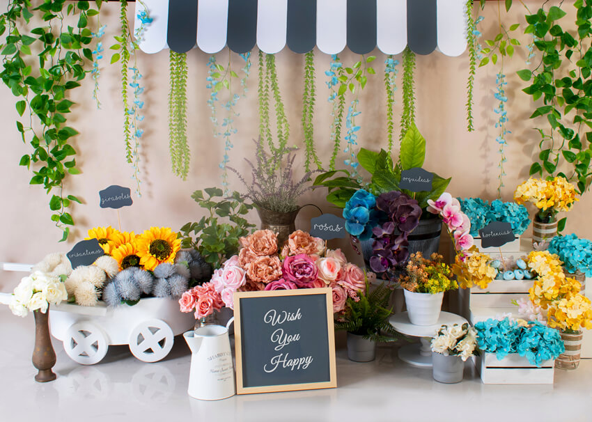 Blumen Topfpflanze Fotografie Hintergrund M5-36
