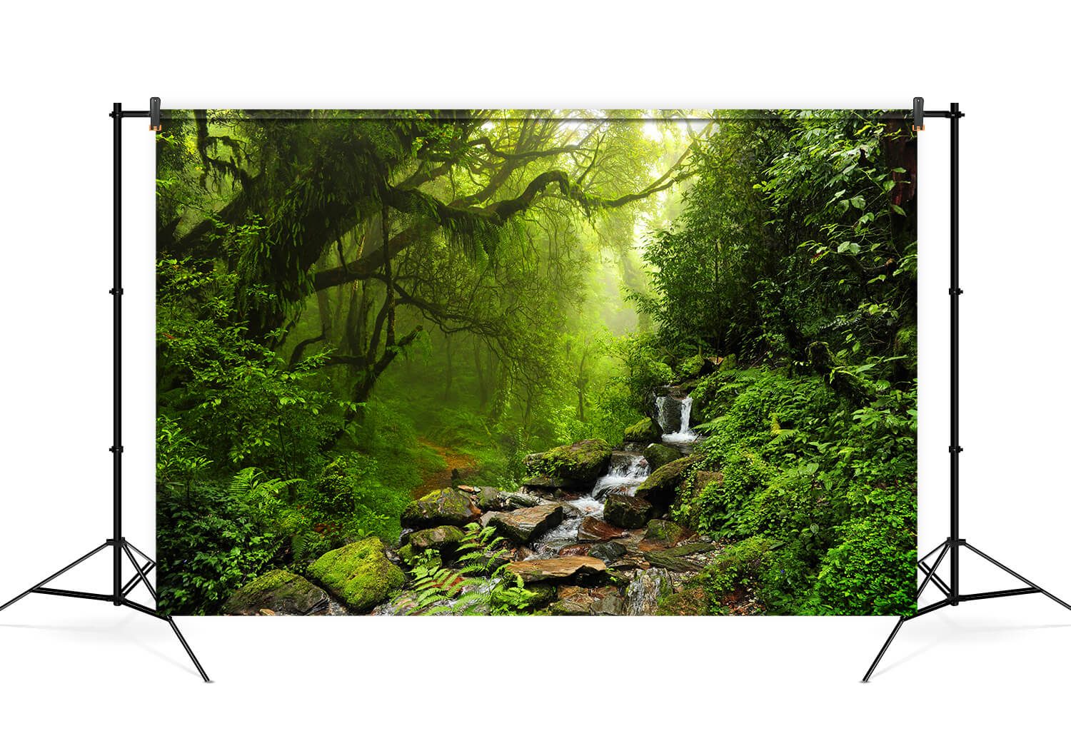 Dschungel Waldlandschaft Fotoautomaten Hintergrund M6-121