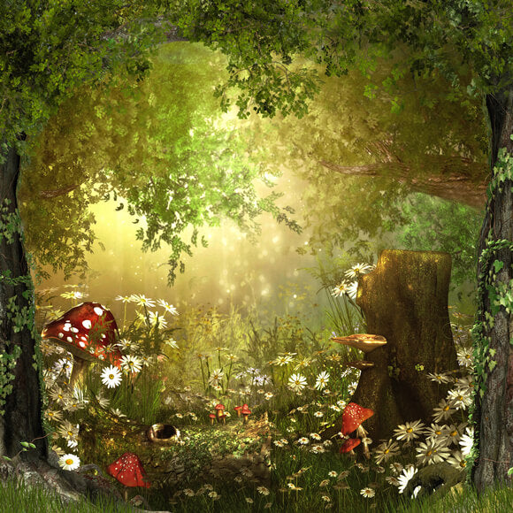 Märchen Wunderland Wald Pilze Hintergrund M6-126