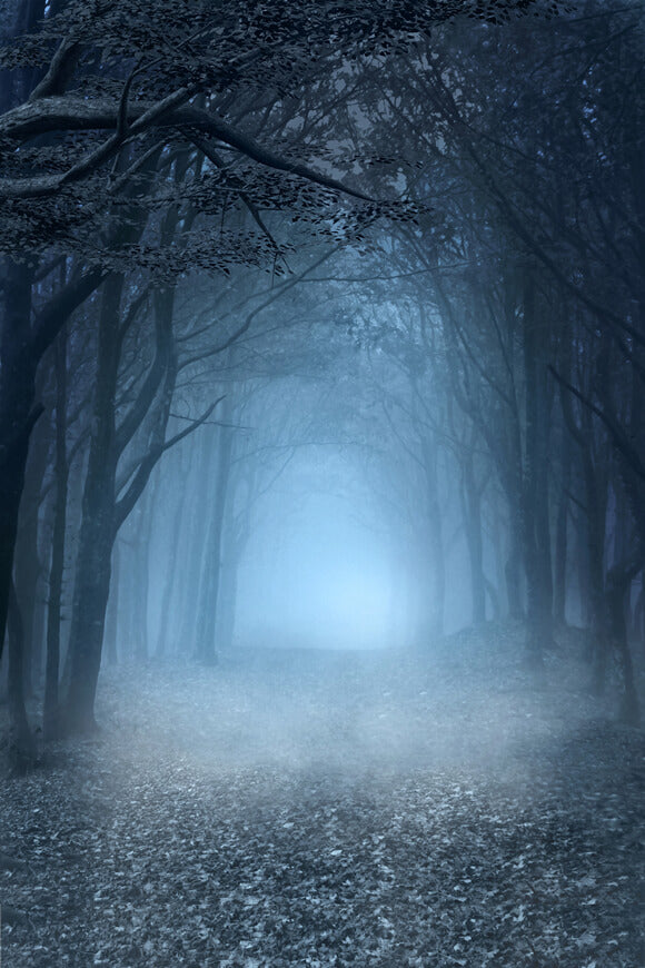 Nebelwald Halloween Fotografie Hintergrund M6-127