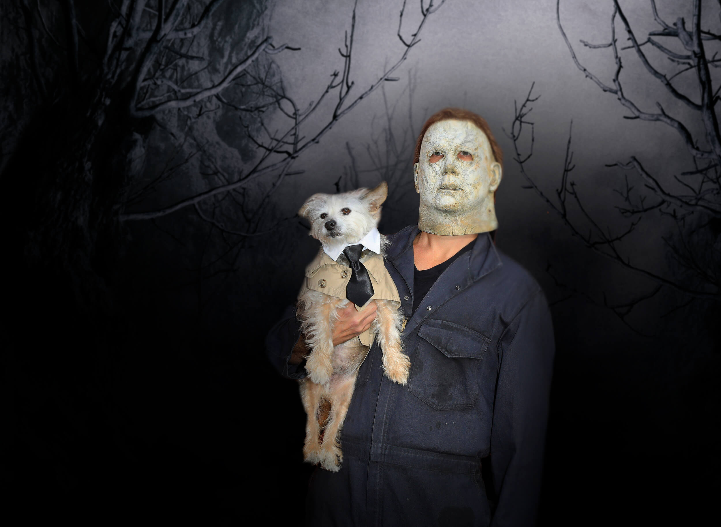 Gruseliger Baum Nachtnebel Halloween Hintergrund M6-133