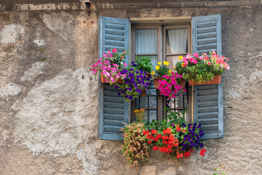 Vintage Fenster Hintergrund mit Bunten Blumen M6-81