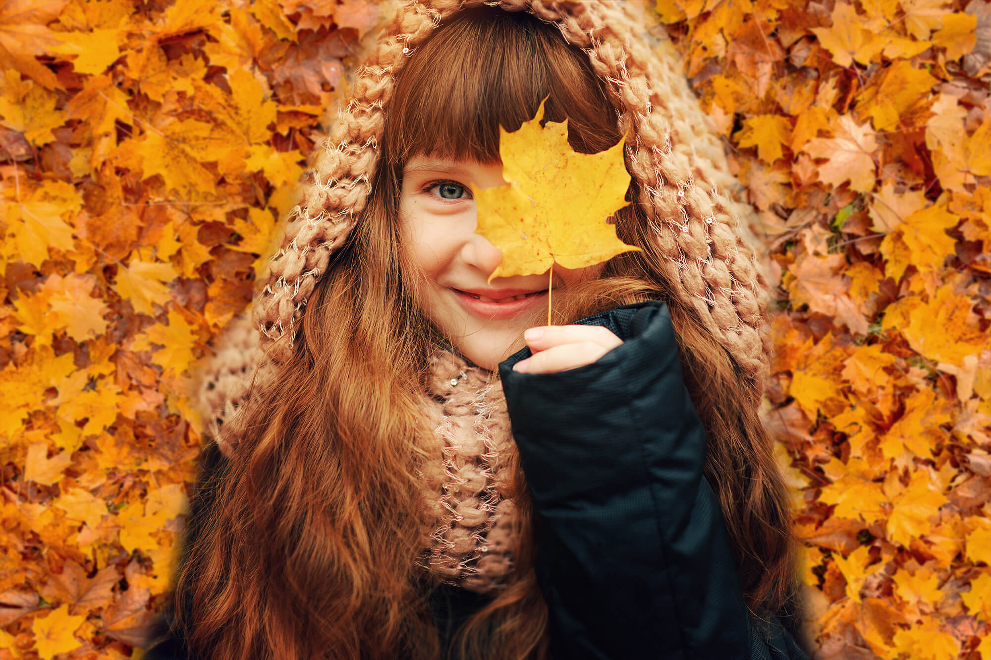 Herbstliche Goldene Ahornblätter Fotografie Hintergrund M6-97