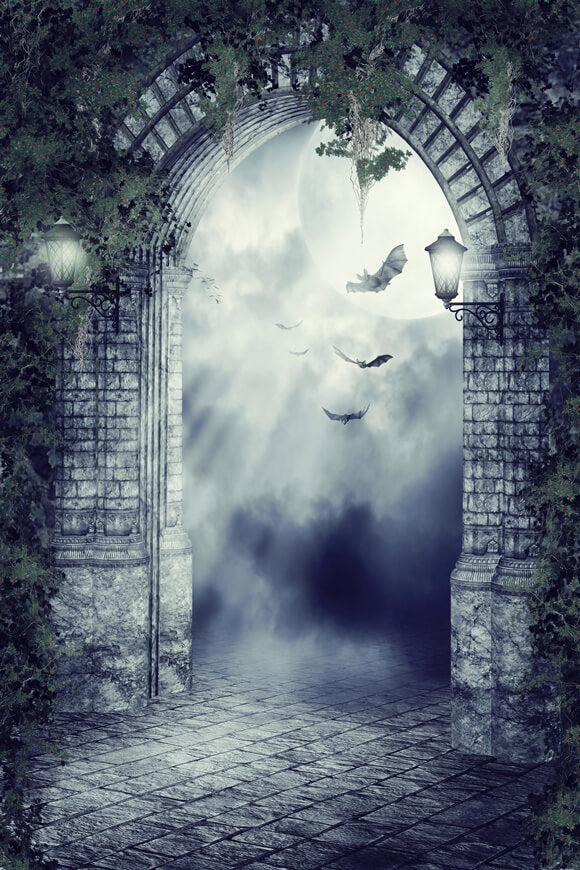 Gotische Tür Fledermaus Mondschein Nacht Halloween Hintergrund M8-02