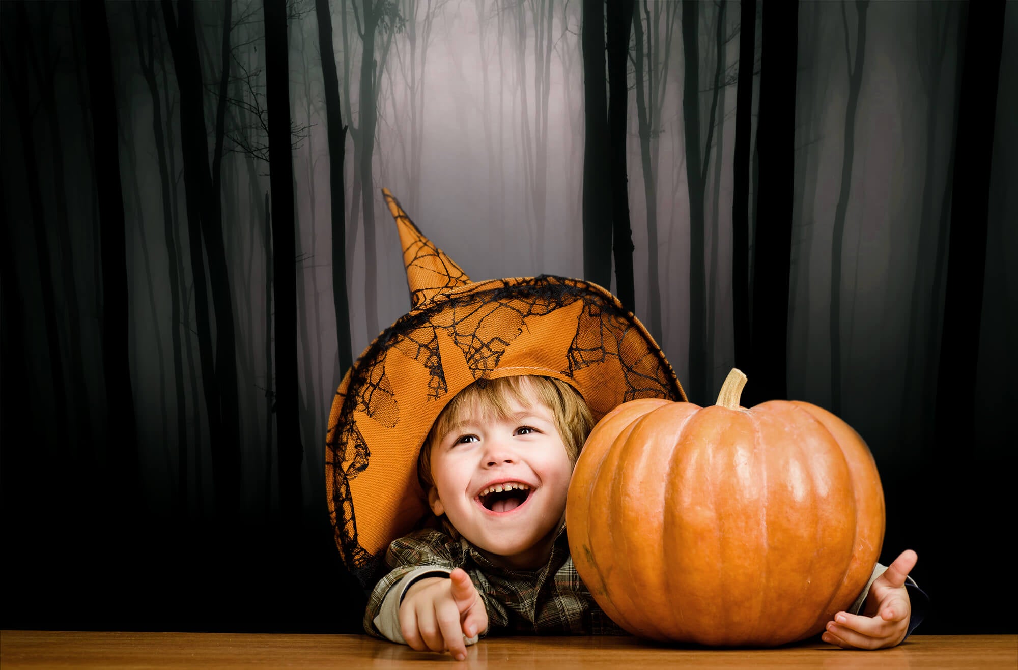 Halloween dunkel düstere Nacht Wald Hintergrund M8-10