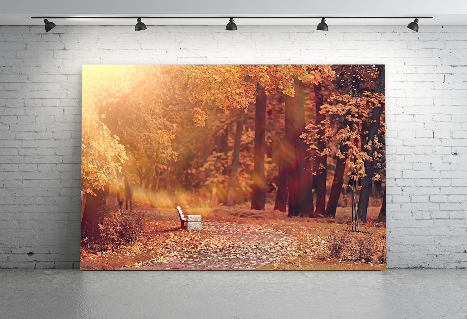 Herbst Park Ahornbaum Blätter Hintergrund M8-34