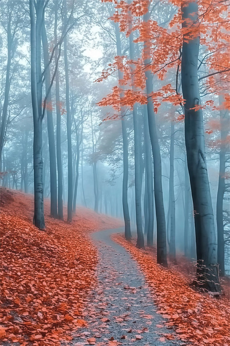 Herbstwald Hintergrundkulisse Misty Crimson Path Foto Hintergrund MRR7-112