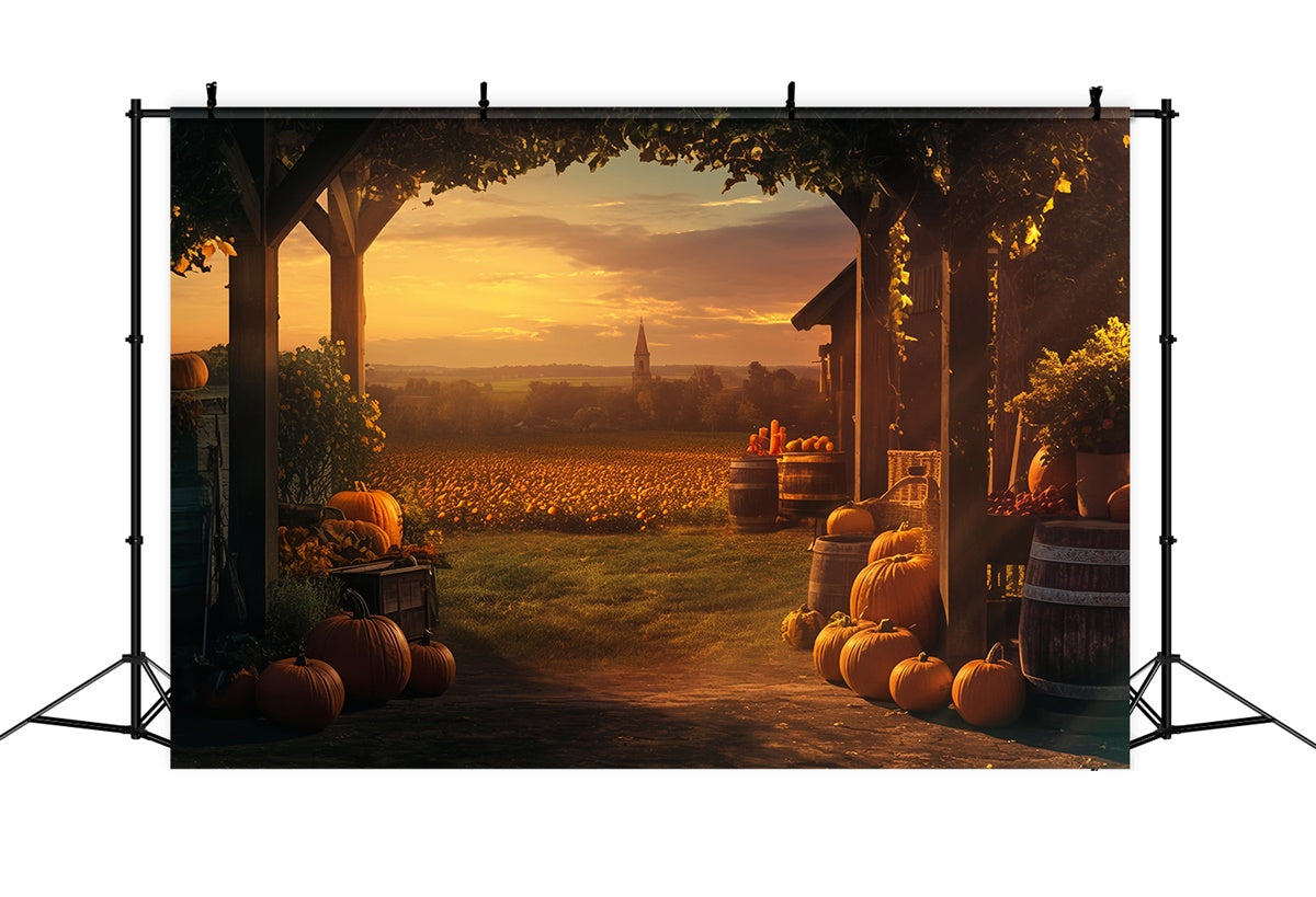 Sonnenuntergang Hintergrundkulisse Goldener Kürbis Bauernhof Herbst Fotohintergrund MRR7-120