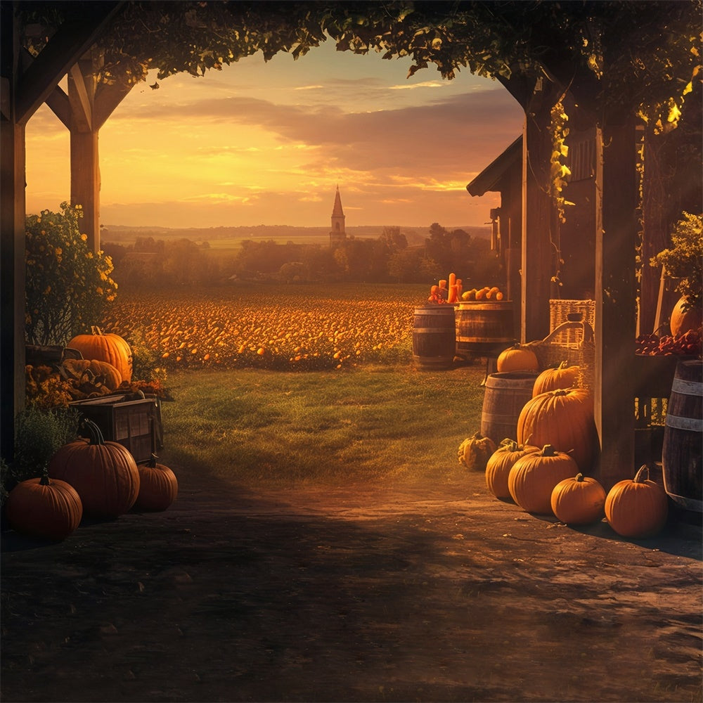 Sonnenuntergang Hintergrundkulisse Goldener Kürbis Bauernhof Herbst Fotohintergrund MRR7-120