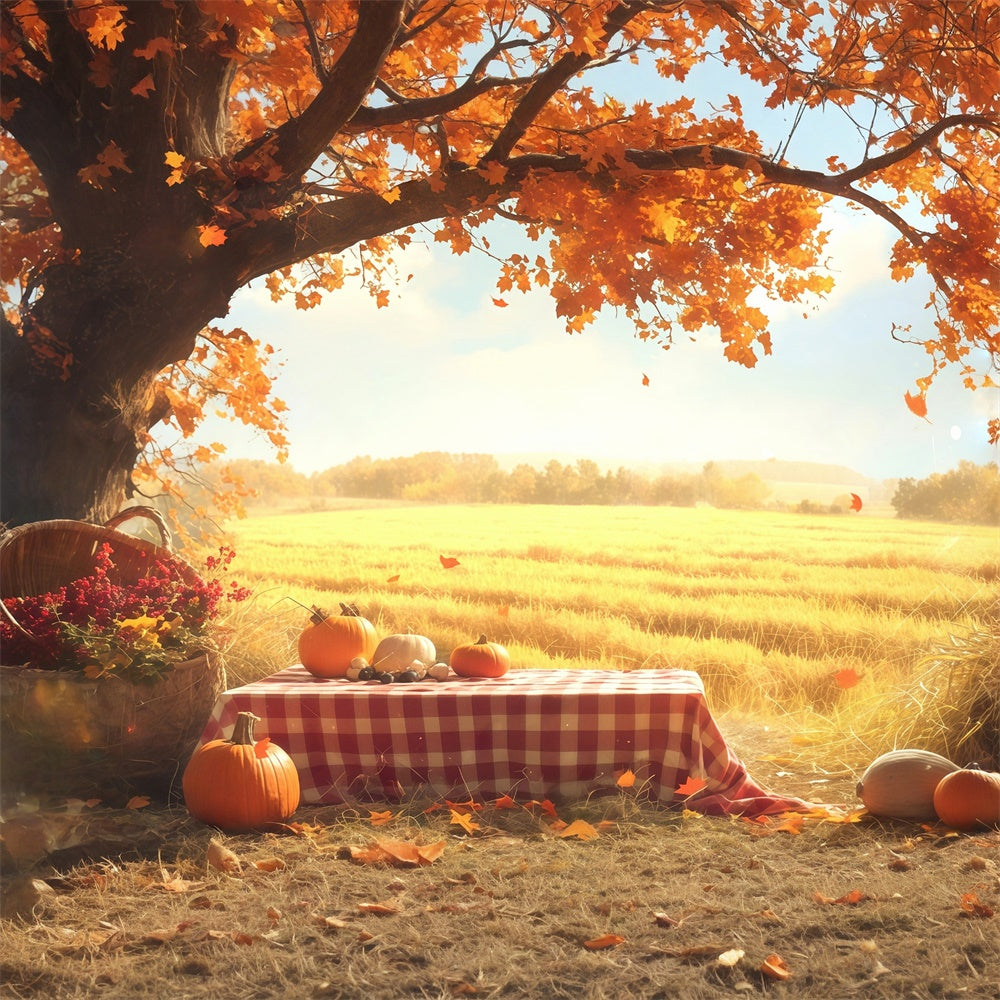 Herbst Backdrops Goldenes Feld Kürbis Picknick Fotohintergrund MRR7-129